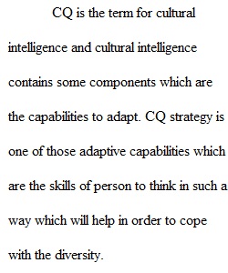 What is CQ Strategy_cultural intelligence